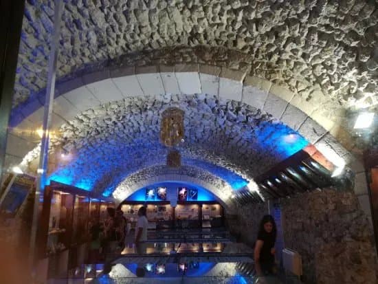 Museo Malacologico
