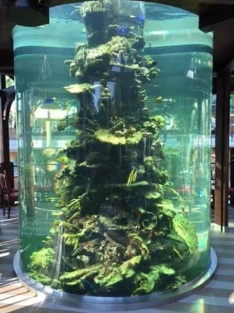 Tropicana Sudseetherme
