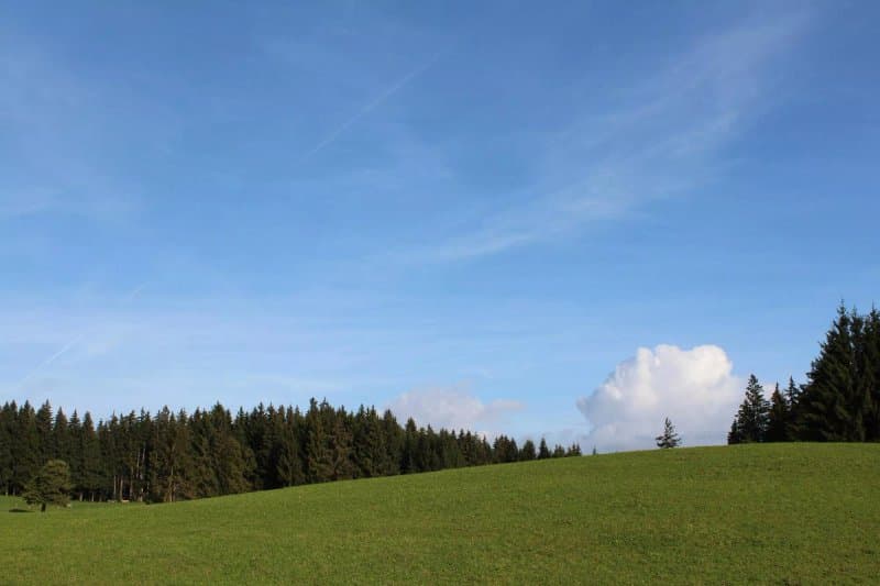 Bio Bergbauernhof Jaeck