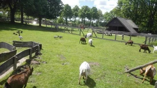 Wolfslaar Breda