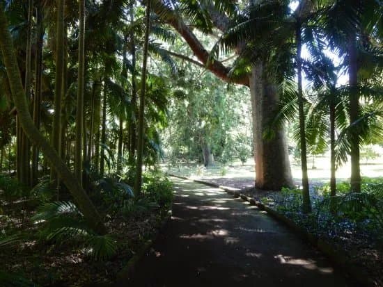 Jose do Canto Botanical Garden