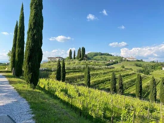 Le Vigne Di Zamo