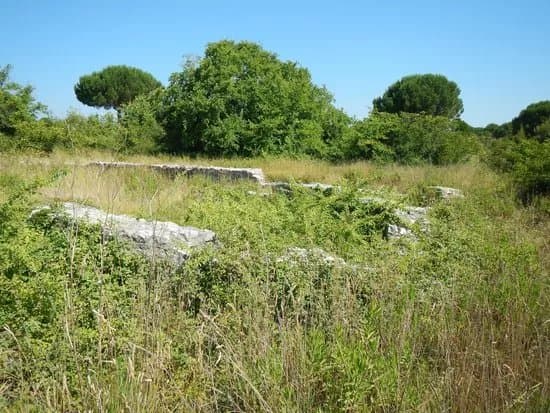St. Andrew's Church Remains