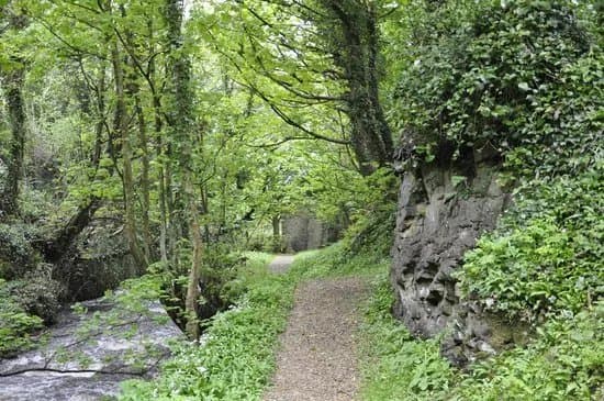 Catsby Cave
