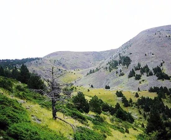 Cami de Manyat