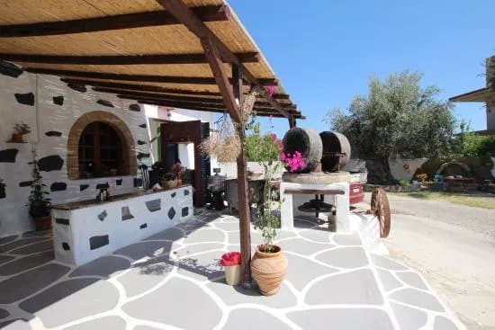 Olive Oil Factory