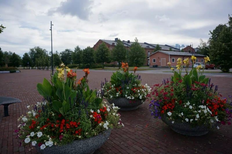 Pioneeripuisto