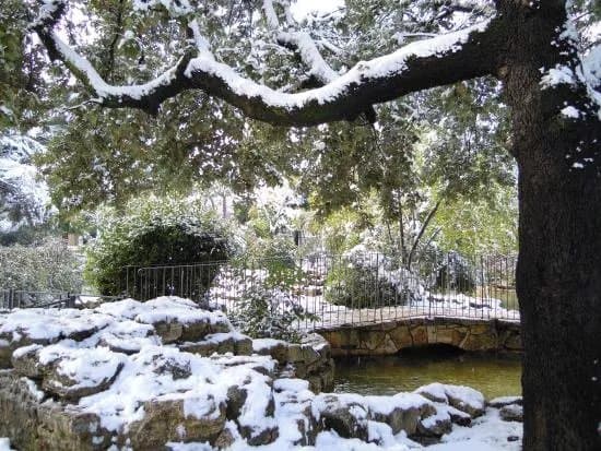 Parco Nemorense o Virgiliano