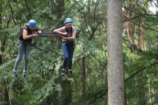 ExTREEme Adventure