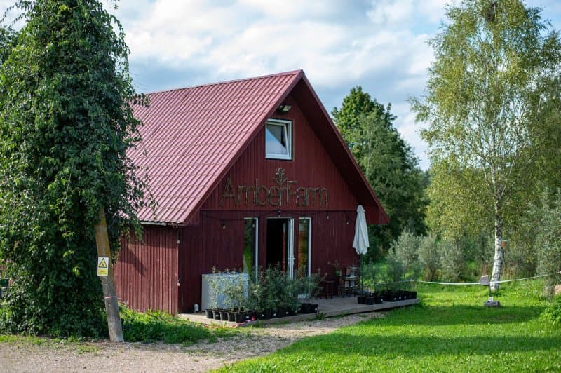 Amberfarm