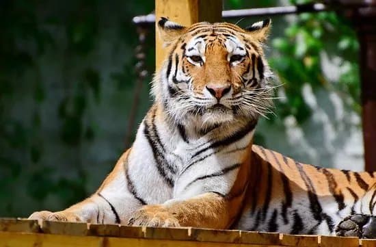 Miskolc Zoo and Culture Park