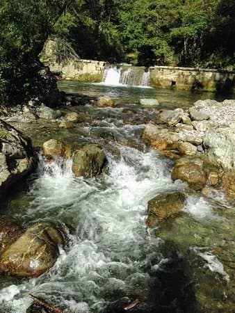 Bosco Magnano - Torrente Peschiera