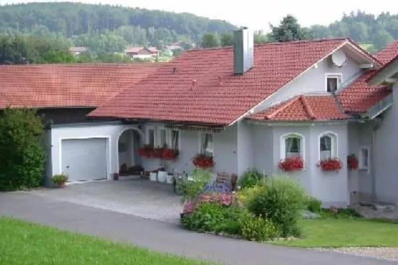 Children and pet friendly holiday apartment in the Bay. Forest