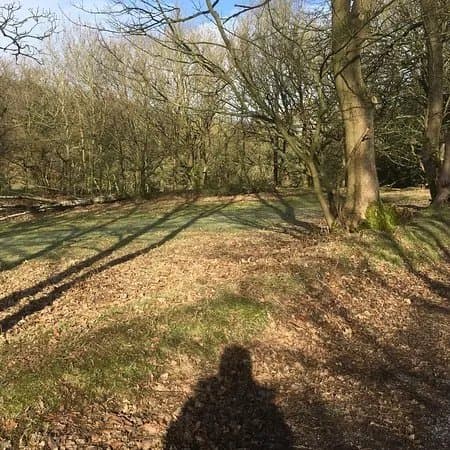 Downs Banks