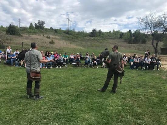 Sokoliarstvo Kanat