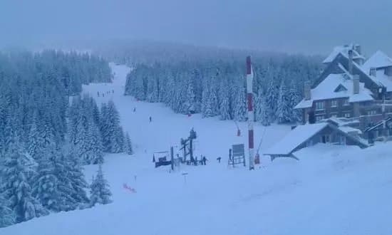 Kopaonik