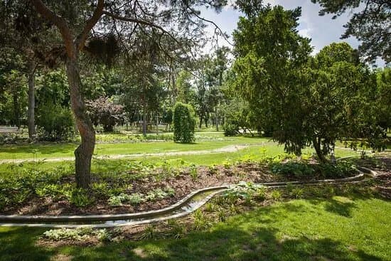 Mihaly Mocsenyi Botanical Garden
