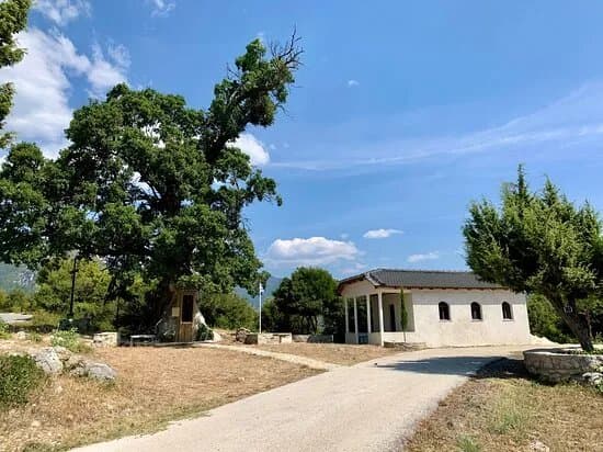Tree Chapel Saint Paissiou
