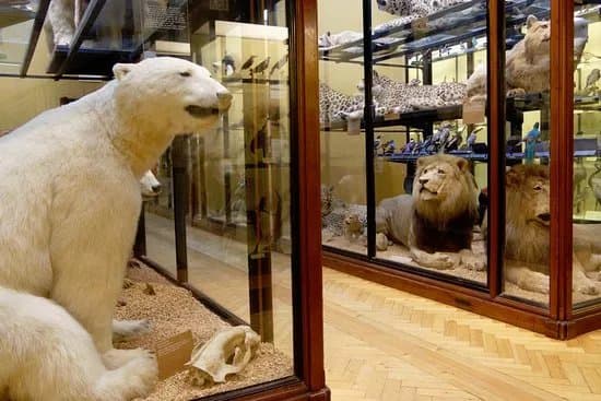 Museums