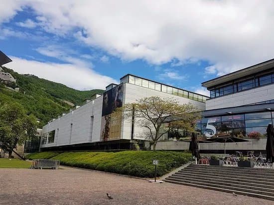 Musee de Grenoble