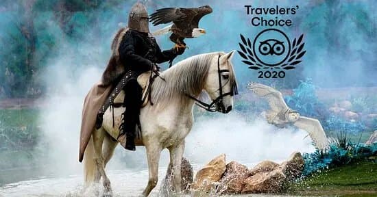 Tierra Rapaz