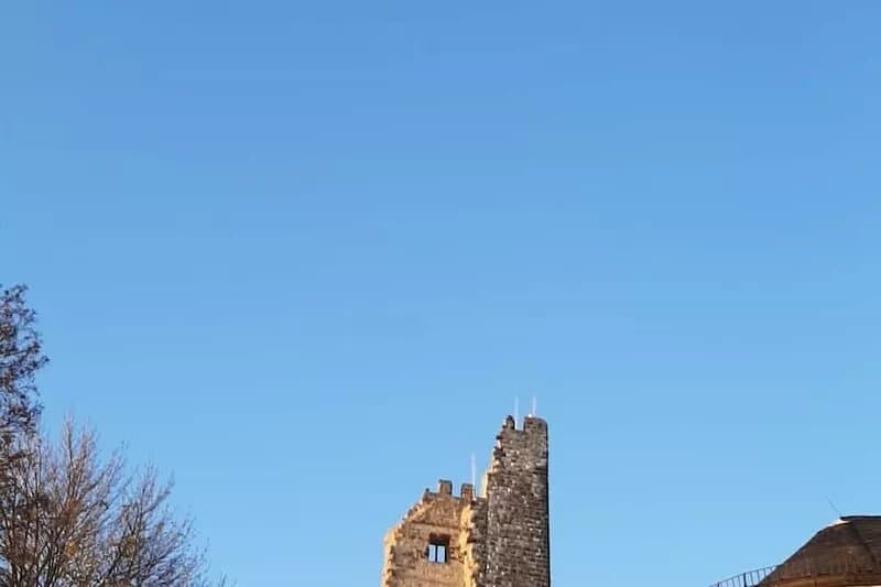 Fun at Phantasialand, culture and nature between Bonn and Cologne