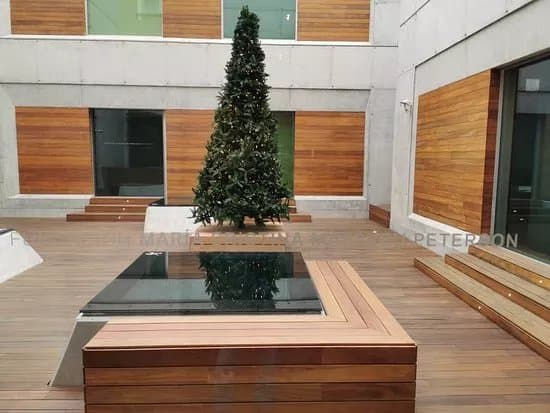 Fundacion Maria Cristina Masaveu Peterson