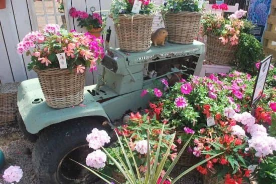 Creative Gardens