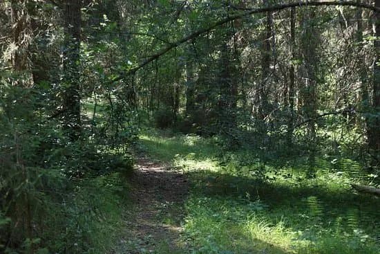 Paijanne-Ilves Trail