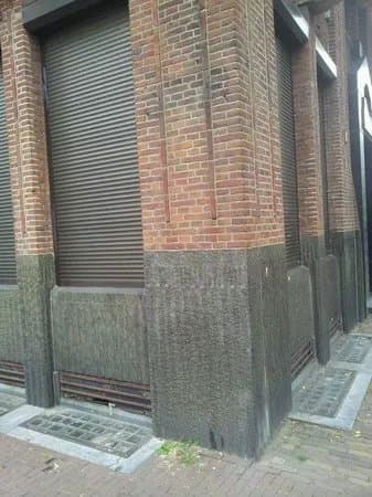 Maison Descartes