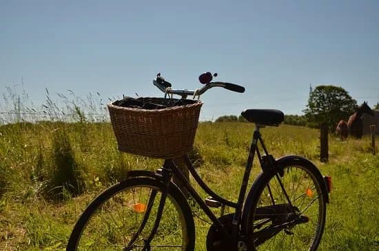 Natursti Til Hedeland