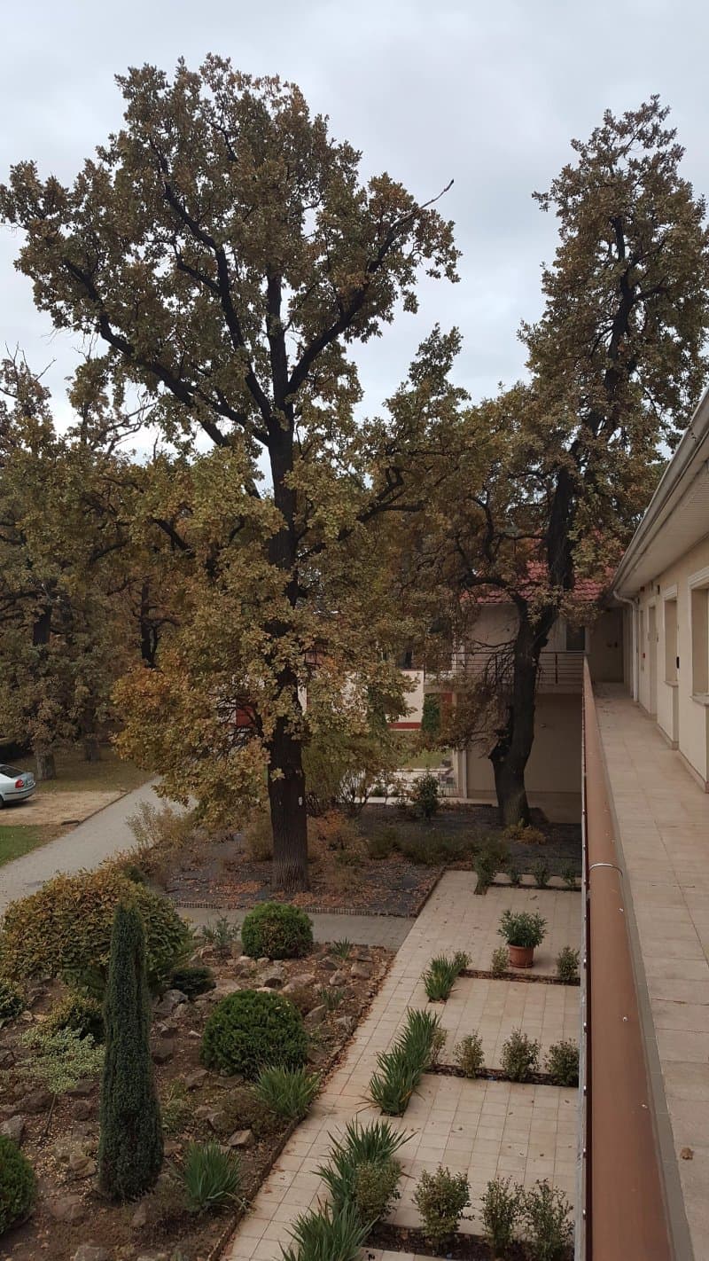 Andrassy Thermal Hotel