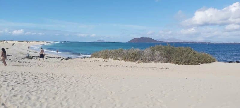 Playa Del Viejo