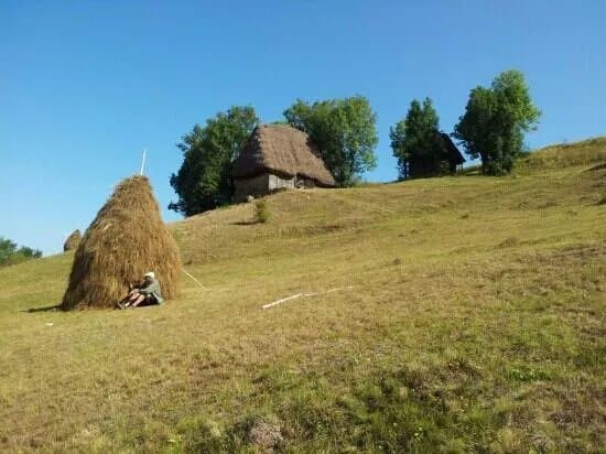 Totu'Bun Pension