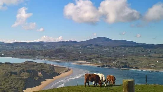 Wild Atlantic Gifts