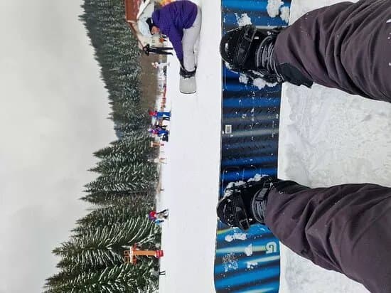 Interski