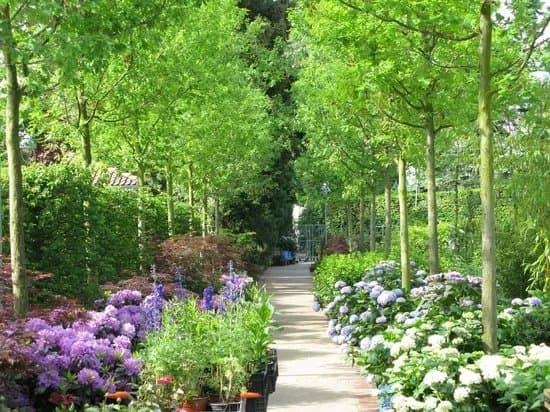 Konigliche Gartenakademie