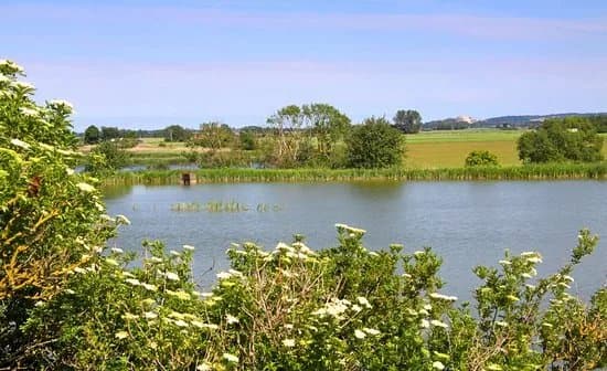 Hasslarps dammar