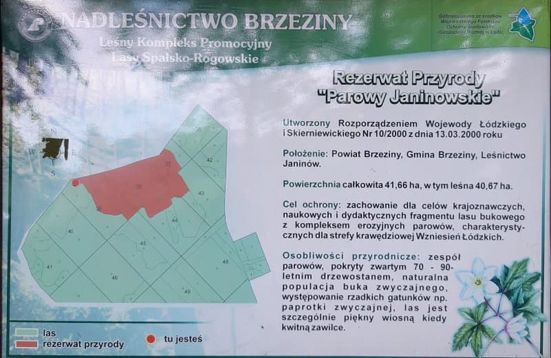Rezerwat Parowy Janinowskie
