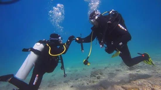 Bikini Dive