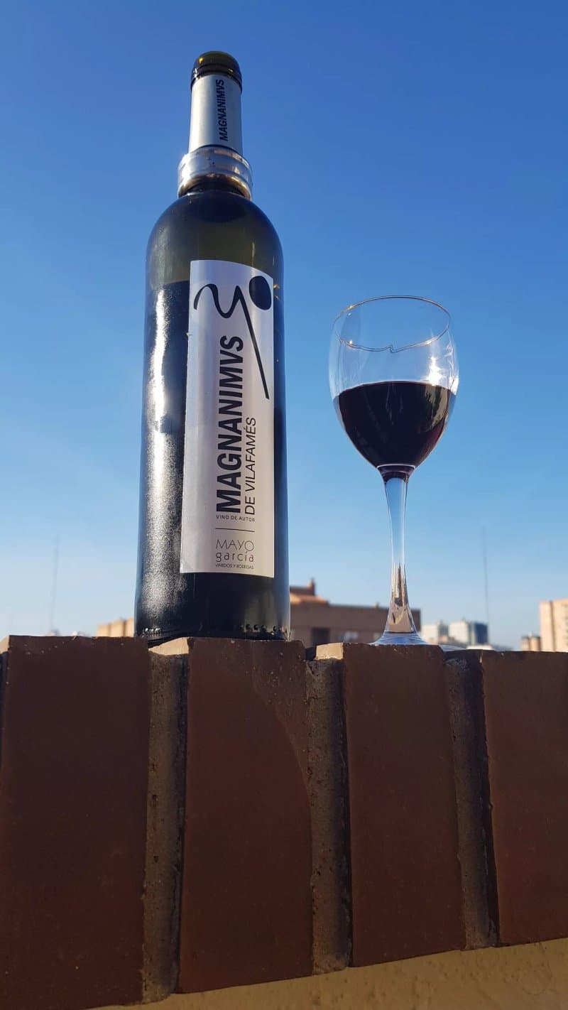 Vinedos & Bodegas Mayo Garcia