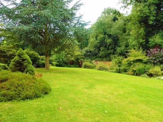 Leasowes Walled Garden