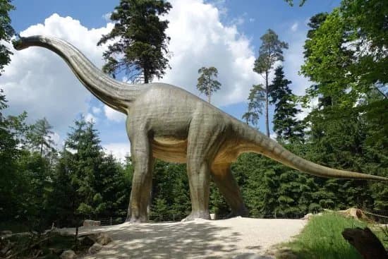 Dinosaurier Museum Altmuhltal