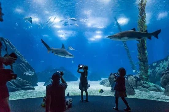 Oceanario de Lisboa