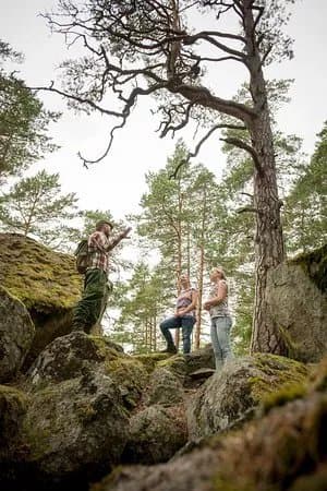 Tivedens Nationalpark