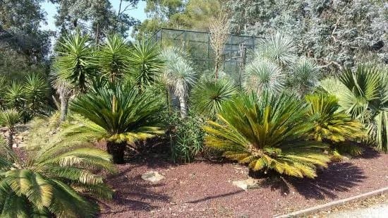 Jardin Zoologique Tropical