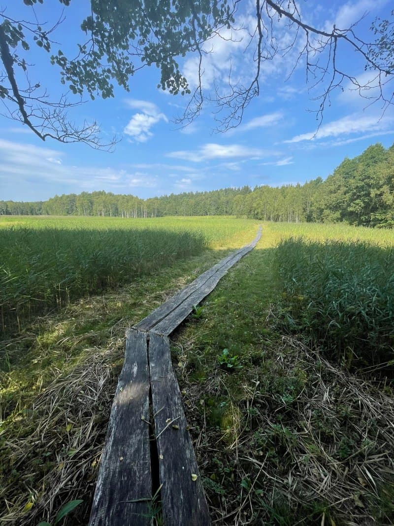 Ilgasilis Nature Path