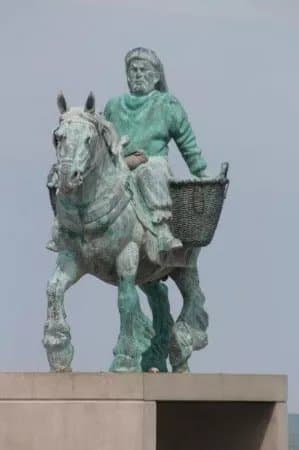 Garnaalvisser