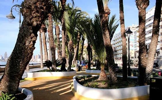 Parc d'Elx