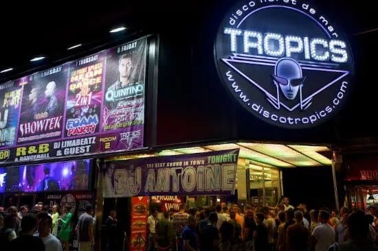 Disco Tropics